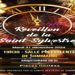 assurez-vous un réveillon de saint-sylvestre en toute sécurité en aveyron. découvrez nos conseils et astuces pour passer une soirée festive sans soucis, tout en respectant les consignes de sécurité. profitez des célébrations tout en préservant la tranquillité de vos proches.