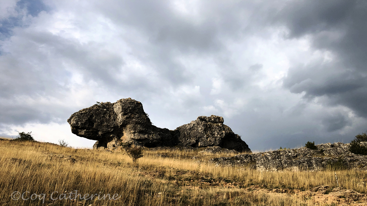 découvrez l'immersion unique au cœur du causse méjean, un paysage sauvage et préservé. explorez ses paysages spectaculaires, sa faune et sa flore riches, et vivez des expériences authentiques qui éveilleront vos sens. parfait pour les amoureux de la nature et les aventuriers en quête de tranquillité.