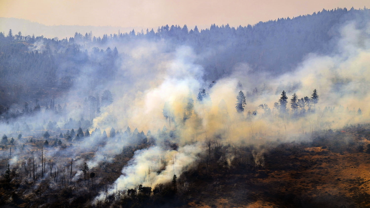 découvrez les dernières informations sur les incendies dans l'hérault. analyse des causes, impacts sur l'environnement et les populations, ainsi que les mesures de prévention et de sécurité mises en place.