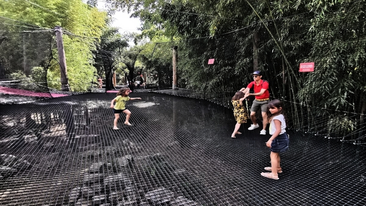 découvrez les activités incontournables à ne pas manquer dans l'hérault ! que vous soyez amateur de nature, d'histoire ou de gastronomie, cette région du sud de la france vous offre des expériences uniques et mémorables. explorez ses paysages époustouflants, visitez ses sites historiques et savourez ses spécialités locales.