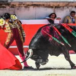 découvrez la passion taurine à albi, une ville où la tradition tauromachique prend vie à travers des événements captivants, des arènes historiques et une culture riche. imprégnez-vous de l'ambiance unique de cette fête populaire et partagez l'émotion des corridas et des spectacles taurins.