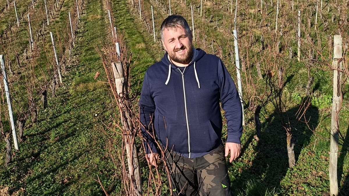 découvrez la révolution viticole en aveyron : un voyage au cœur des innovations et des traditions viticoles qui transforment ce terroir d'exception, offrant des vins uniques et authentiques.