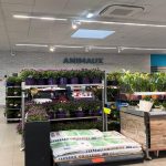 découvrez les heures d'ouverture de votre hypermarché dans le tarn le dimanche. profitez de vos courses en toute tranquillité, avec des promotions exclusives et un large choix de produits pour toute la famille.