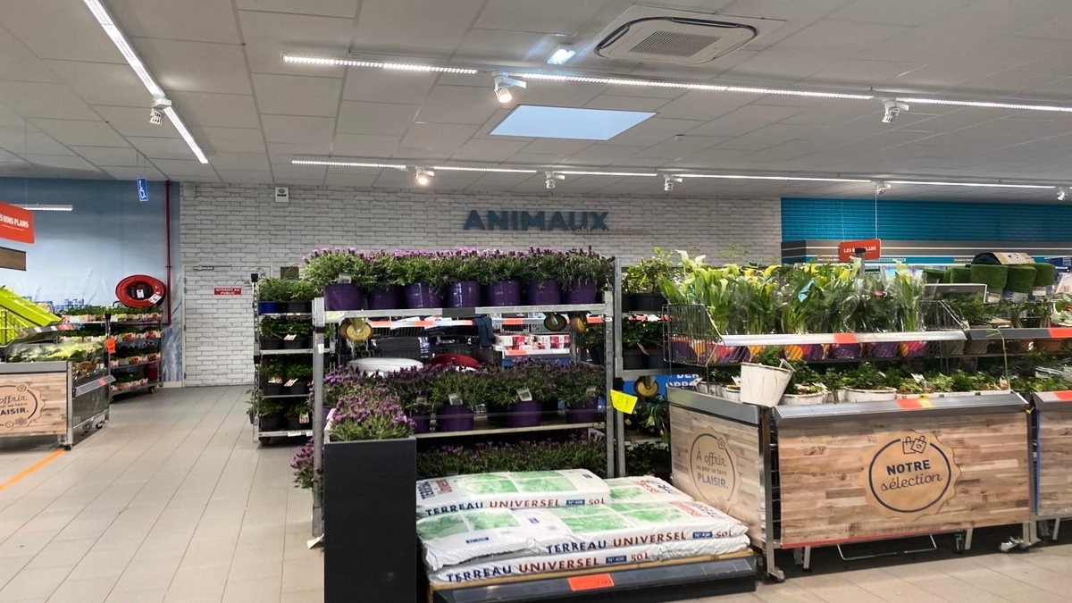 découvrez les heures d'ouverture de votre hypermarché dans le tarn le dimanche. profitez de vos courses en toute tranquillité, avec des promotions exclusives et un large choix de produits pour toute la famille.