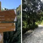 découvrez notre sentier revitalisé, un espace naturel rehaussé pour vous offrir une expérience de plein air inoubliable. profitez d'une promenade agréable au milieu d'une flore luxuriante et d'un cadre serein, propice à la détente et à la découverte.