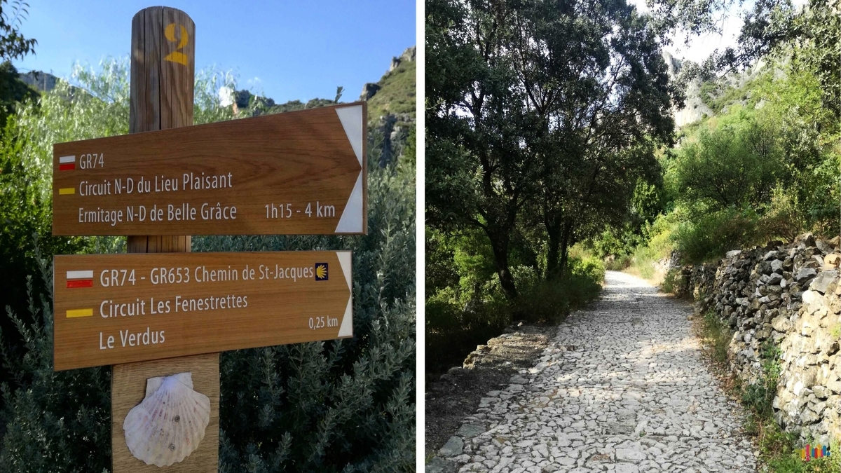 découvrez notre sentier revitalisé, un espace naturel rehaussé pour vous offrir une expérience de plein air inoubliable. profitez d'une promenade agréable au milieu d'une flore luxuriante et d'un cadre serein, propice à la détente et à la découverte.