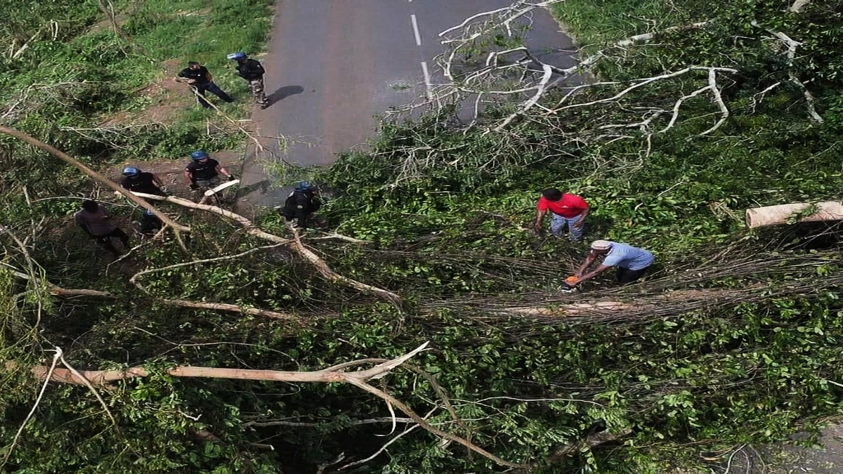 découvrez les initiatives de solidarité jeunesse à mayotte, un mouvement engagé pour l'aide et le soutien aux jeunes de l'île. rejoignez-nous pour améliorer les conditions de vie et encourager l'épanouissement des jeunes à mayotte.