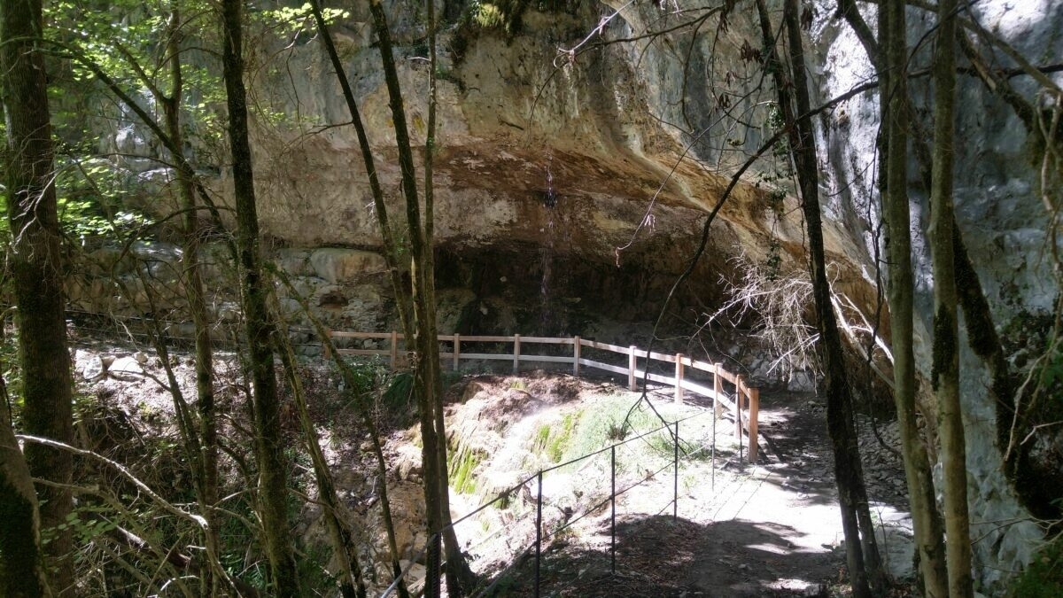 découvrez l'histoire fascinante de l'abandon du réservoir de coulobres, un site empreint de mystère et de beauté. plongez dans les détails de ce lieu oublié où la nature reprend ses droits, et explorez les anecdotes qui entourent ce réservoir emblématique.