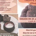 découvrez l'univers exquis de la truffe noire lors de notre fête dédiée, où gastronomie et tradition se rencontrent. participez à des ateliers, dégustations et animations autour de ce champignon d'exception, au cœur d'une ambiance conviviale et festive.