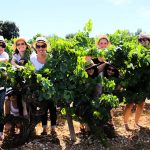 découvrez la coexistence harmonieuse entre vérargues et saint-christol, deux communes qui partagent une histoire riche et une dynamique sociale exemplaire. plongez dans l'unité de ces territoires et explorez les initiatives qui favorisent la collaboration et le bien-être communautaire.
