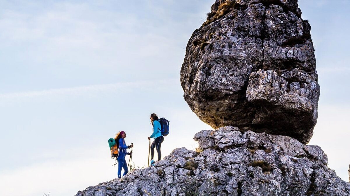 découvrez les plus belles randonnées en lozère, un véritable paradis pour les amoureux de la nature. explorez des paysages à couper le souffle, des sentiers pittoresques et une biodiversité exceptionnelle dans cette région préservée.