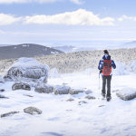 découvrez la beauté sauvage de la lozère enneigée, un paradis hivernal où les paysages enneigés offrent une expérience unique de nature, de tranquillité et d'aventure. explorez ses pistes de ski, ses sentiers de raquettes et profitez d'activités en plein air au cœur d'une région préservée.