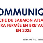 découvrez la brochure pêche lozère 2025, votre guide essentiel pour explorer les meilleurs spots de pêche, les réglementations, et les conseils d'experts pour profiter pleinement de vos journées au bord de l'eau dans ce cadre naturel d'exception.