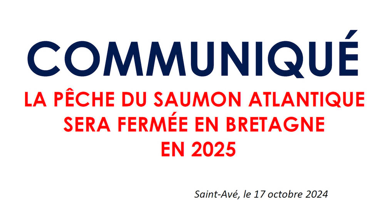 découvrez la brochure pêche lozère 2025, votre guide essentiel pour explorer les meilleurs spots de pêche, les réglementations, et les conseils d'experts pour profiter pleinement de vos journées au bord de l'eau dans ce cadre naturel d'exception.