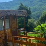 découvrez le secret parc cévennes, un havre de paix où la nature révèle ses trésors cachés. profitez d'activités en plein air, de paysages à couper le souffle et d'une immersion totale dans la biodiversité unique de la région des cévennes.