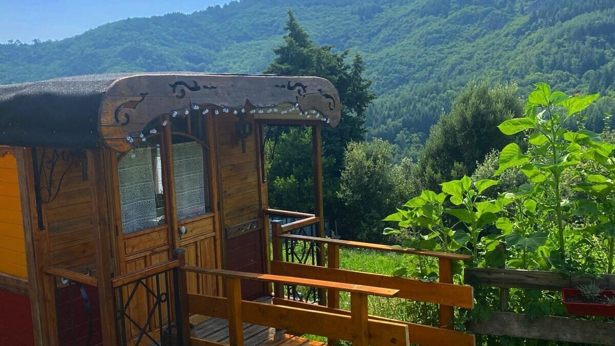 découvrez le secret parc cévennes, un havre de paix où la nature révèle ses trésors cachés. profitez d'activités en plein air, de paysages à couper le souffle et d'une immersion totale dans la biodiversité unique de la région des cévennes.