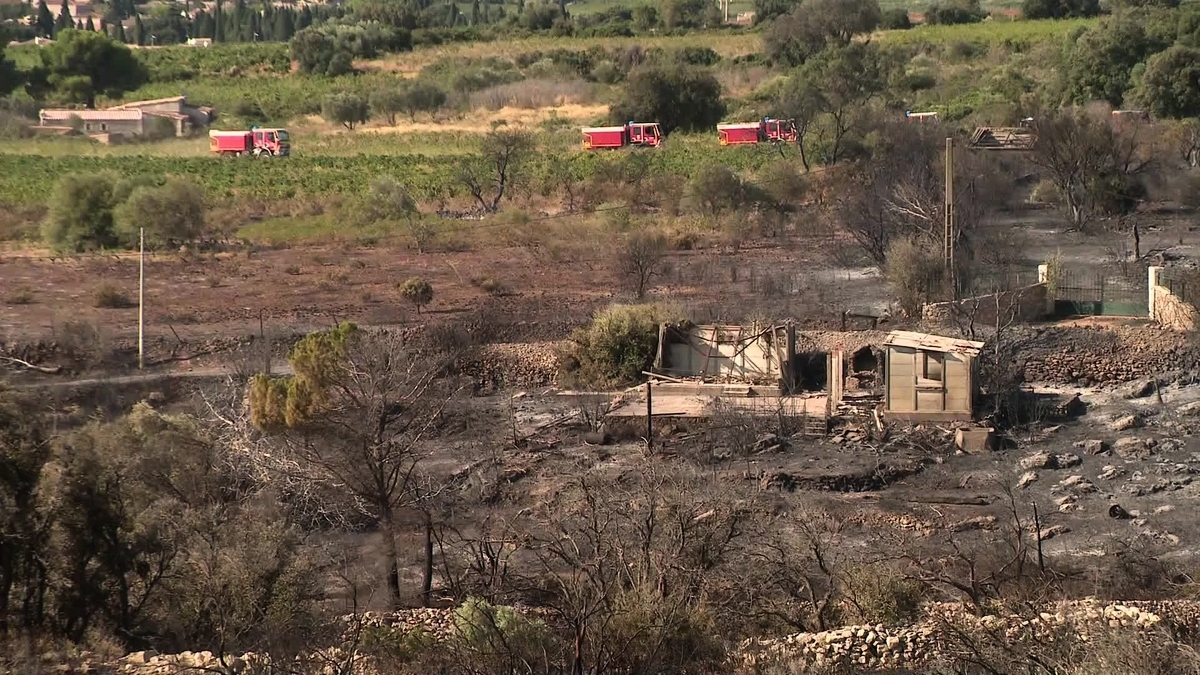 découvrez les dernières informations sur les incendies dans l'hérault, leurs causes, leur impact sur l'environnement et les efforts de lutte contre les flammes. restez informé sur la sécurité et les mesures prises pour protéger la région.
