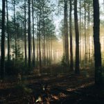 découvrez l'intrigue entourant le corps de teresa retrouvé, une enquête captivante mêlant mystère et révélations choquantes. plongez dans cette histoire saisissante qui explore les secrets d'une vie et les mystères non résolus.