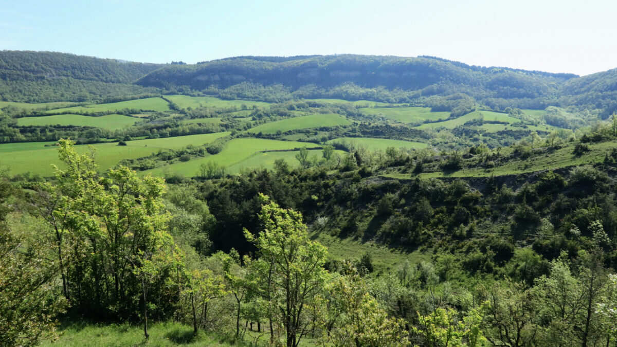 découvrez les charmes du printemps pluvieux en aveyron, où la nature s'épanouit sous les gouttes de pluie. profitez des paysages verdoyants, des traditions locales et des activités en plein air qui font de cette saison une expérience unique à ne pas manquer.