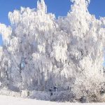 découvrez les prévisions météorologiques pour l'aveyron ce week-end. profitez de conseils pour planifier vos activités en plein air en fonction du temps, avec des informations sur les températures, les précipitations et le soleil. restez informé pour des moments inoubliables en aveyron!