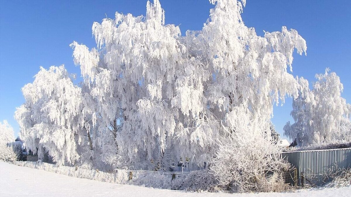 découvrez les prévisions météorologiques pour l'aveyron ce week-end. profitez de conseils pour planifier vos activités en plein air en fonction du temps, avec des informations sur les températures, les précipitations et le soleil. restez informé pour des moments inoubliables en aveyron!