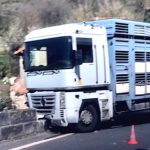 découvrez les dernières actualités et analyses sur les accidents survenus dans l'aveyron en 2024. restez informé sur les causes, les impacts et les mesures de sécurité mises en place pour prévenir de futurs incidents.