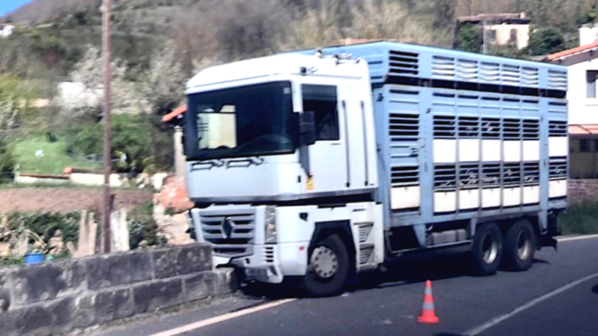 découvrez les dernières actualités et analyses sur les accidents survenus dans l'aveyron en 2024. restez informé sur les causes, les impacts et les mesures de sécurité mises en place pour prévenir de futurs incidents.