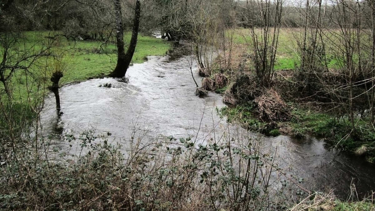 découvrez les mystères entourant la découverte d'un corps dans la rivière. plongez dans une enquête fascinante, mêlant drame et suspense, et suivez l'évolution de cette affaire troublante.