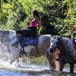 assistez à un concert exceptionnel en lozère ! une soirée inoubliable avec des artistes de renom, dans un cadre enchanteur. ne manquez pas l'occasion de vivre des performances live uniques et de découvrir de nouveaux talents.