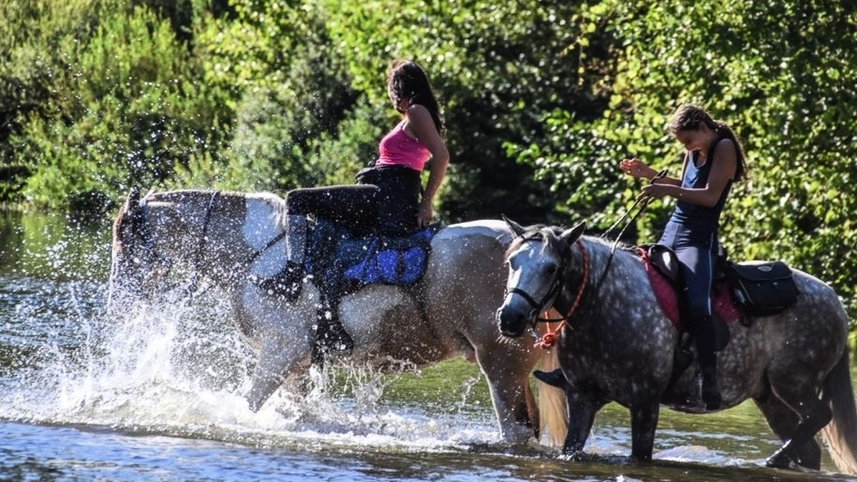 assistez à un concert exceptionnel en lozère ! une soirée inoubliable avec des artistes de renom, dans un cadre enchanteur. ne manquez pas l'occasion de vivre des performances live uniques et de découvrir de nouveaux talents.