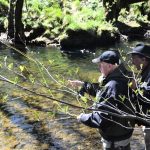 découvrez la lozère, un département riche en activités : de la pêche en pleine nature aux initiatives de don du sang, en passant par des opportunités de déstockage uniques. vivez des expériences authentiques et contribuez à des causes locales tout en profitant des paysages magnifiques de cette région.