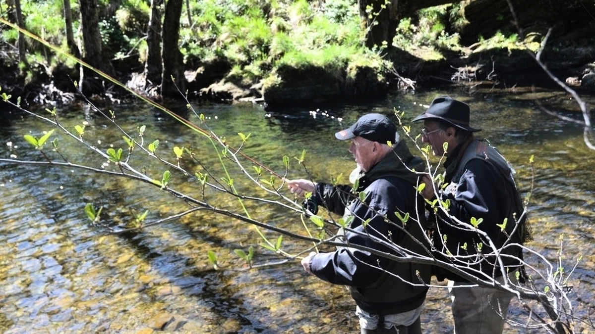 découvrez la lozère, un département riche en activités : de la pêche en pleine nature aux initiatives de don du sang, en passant par des opportunités de déstockage uniques. vivez des expériences authentiques et contribuez à des causes locales tout en profitant des paysages magnifiques de cette région.