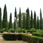 découvrez tout sur les pollens de cyprès dans l'hérault ! informez-vous sur les périodes de pollinisation, les symptômes d'allergies et les conseils pour mieux vivre avec ces pollens dans cette région ensoleillée.