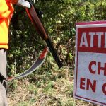 découvrez le conflit entre chasseurs en aveyron, une région riche en traditions de chasse. explorez les enjeux, les acteurs impliqués et les répercussions sur l'environnement et la société. informez-vous sur les débats autour de cette pratique ancestrale dans un contexte moderne.