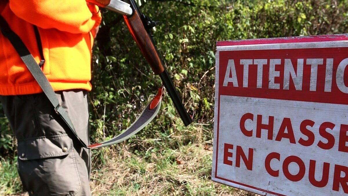 découvrez le conflit entre chasseurs en aveyron, une région riche en traditions de chasse. explorez les enjeux, les acteurs impliqués et les répercussions sur l'environnement et la société. informez-vous sur les débats autour de cette pratique ancestrale dans un contexte moderne.