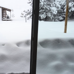 en lozère, une couche de neige de 50 cm a été signalée, entraînant une vigilance orange. restez informé et préparez-vous pour des conditions hivernales difficiles.
