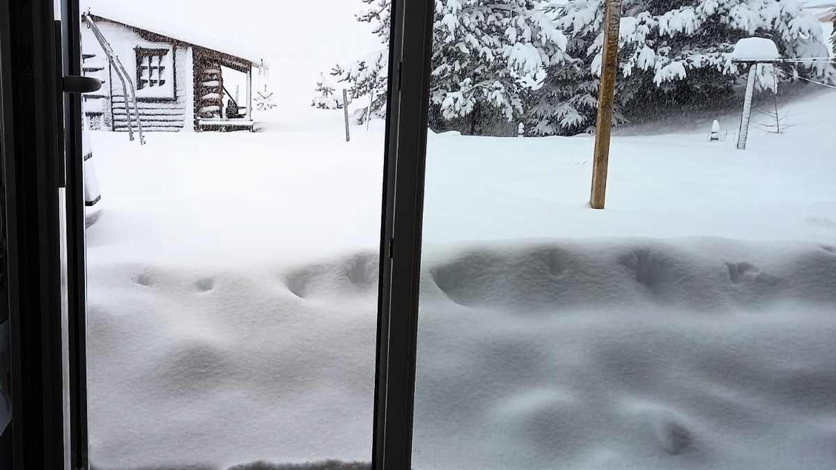 en lozère, une couche de neige de 50 cm a été signalée, entraînant une vigilance orange. restez informé et préparez-vous pour des conditions hivernales difficiles.