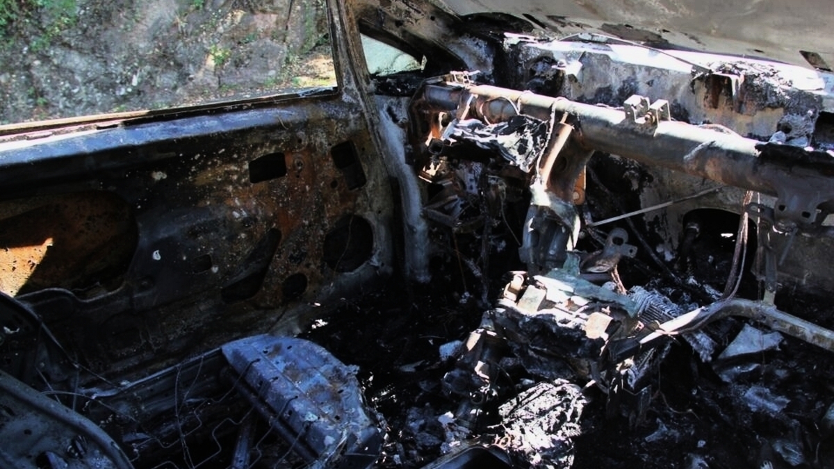 découvrez le corps de l'homme à tarn, une exploration des cultures, des habitudes de vie et de la santé masculine. plongez dans les enjeux physiques et psychologiques qui façonnent l'identité masculine dans cette région.