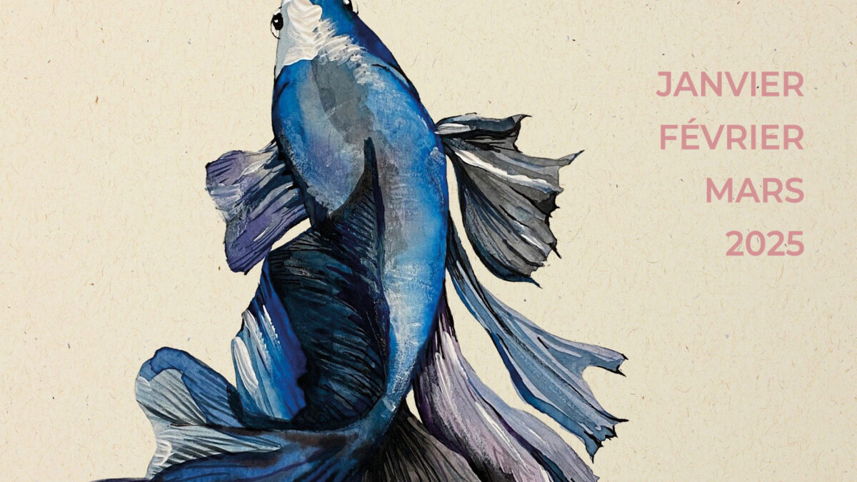 découvrez les meilleures réductions culturelles dans l'hérault ! profitez d'offres exclusives sur les musées, théâtres et événements locaux, et plongez dans la richesse culturelle de cette région en économisant.