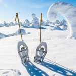 découvrez la magie de la beauté hivernale en lozère, où les paysages enneigés révèlent une nature saisissante, des activités en plein air revigorantes et une ambiance paisible. plongez dans l'enchantement des montagnes, des forêts et des villages pittoresques sous leur manteau blanc.