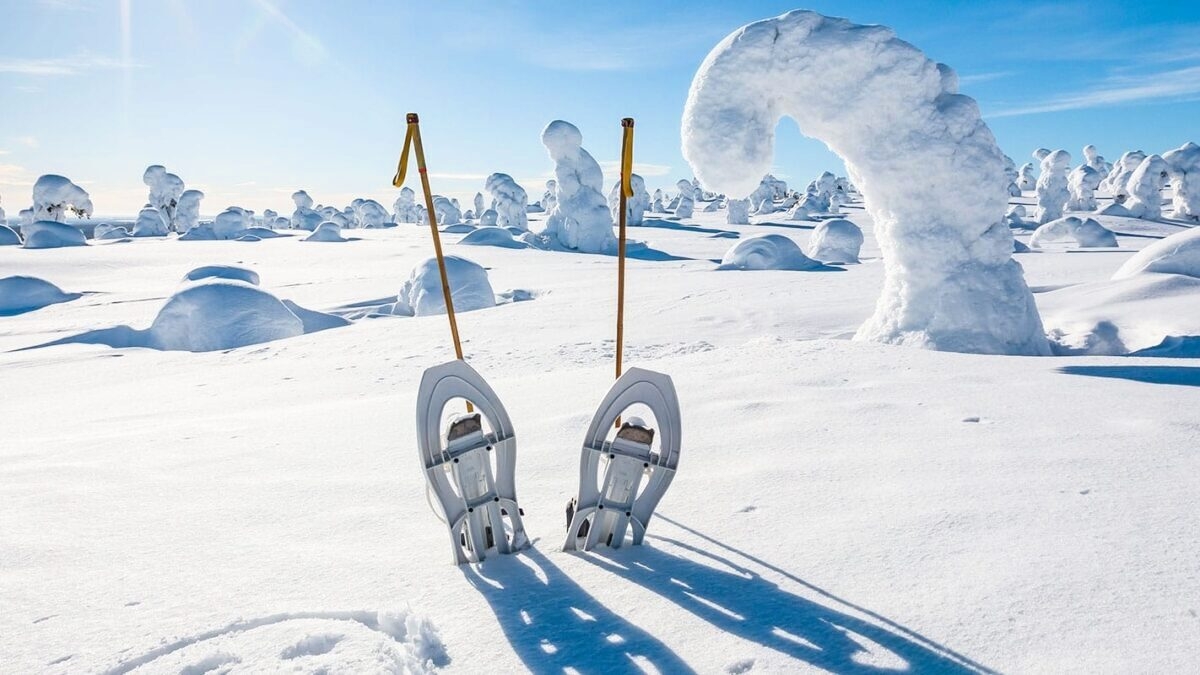 découvrez la magie de la beauté hivernale en lozère, où les paysages enneigés révèlent une nature saisissante, des activités en plein air revigorantes et une ambiance paisible. plongez dans l'enchantement des montagnes, des forêts et des villages pittoresques sous leur manteau blanc.