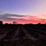 découvrez les 5 activités romantiques à vivre dans l'hérault pour une saint-valentin inoubliable. que ce soit une balade en amoureux, un diner aux chandelles ou une escapade romantique, trouvez l'inspiration pour célébrer votre amour.