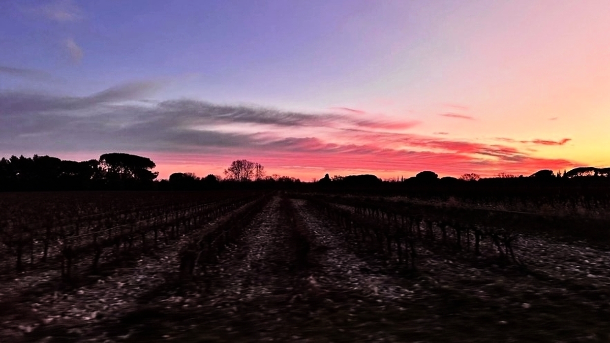 découvrez les 5 activités romantiques à vivre dans l'hérault pour une saint-valentin inoubliable. que ce soit une balade en amoureux, un diner aux chandelles ou une escapade romantique, trouvez l'inspiration pour célébrer votre amour.