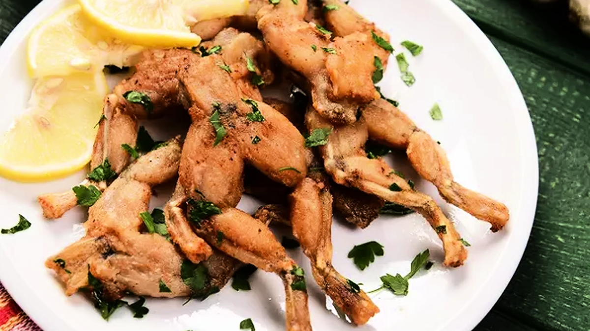 découvrez l'univers fascinant des grenouilles, ces amphibiens extraordinaires qui jouent un rôle essentiel dans nos écosystèmes. apprenez-en davantage sur leur habitat, leur alimentation et leur cycle de vie, tout en explorant les différentes espèces et leur importance pour la biodiversité.