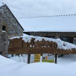 découvrez la beauté magnétique de la lozère enneigée, où les paysages hivernaux se mêlent aux charmants villages, offrant une expérience unique entre nature et sérénité. parfait pour les amateurs de randonnée, de sports d'hiver et de moments de détente au cœur d'une nature préservée.