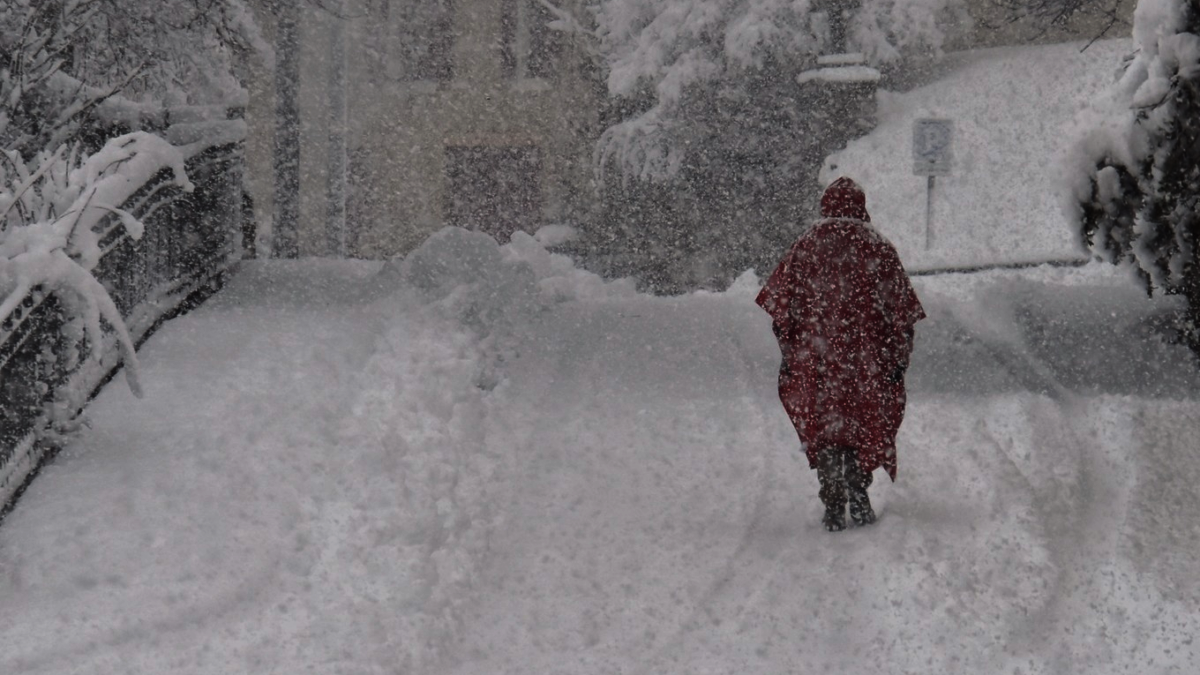 découvrez les impacts et les paysages majestueux d'une tempête hivernale dans les cévennes. plongez dans une ambiance féérique où neige et vents froids transforment la région en un tableau naturel époustouflant.