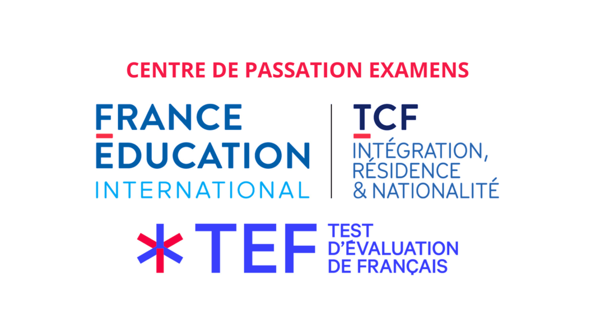 découvrez comment la maîtrise de la langue française joue un rôle essentiel dans l'intégration culturelle et sociale. explorez les enjeux, les défis et les opportunités offerts par l'apprentissage du français pour favoriser l'inclusion et le lien avec la communauté.