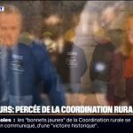 découvrez comment la coordination rurale a triomphé lors des élections agricoles, renforçant ainsi sa position et ses représentations au sein du secteur agricole. analyse des impacts et des perspectives d'avenir pour les agriculteurs.