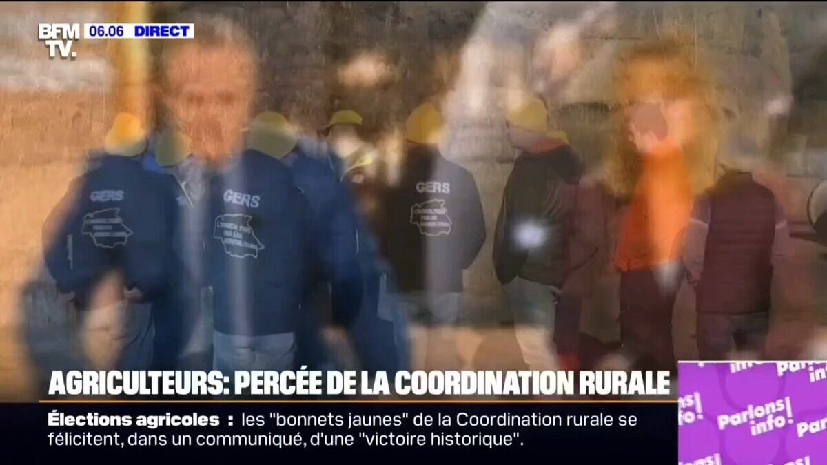 découvrez comment la coordination rurale a triomphé lors des élections agricoles, renforçant ainsi sa position et ses représentations au sein du secteur agricole. analyse des impacts et des perspectives d'avenir pour les agriculteurs.