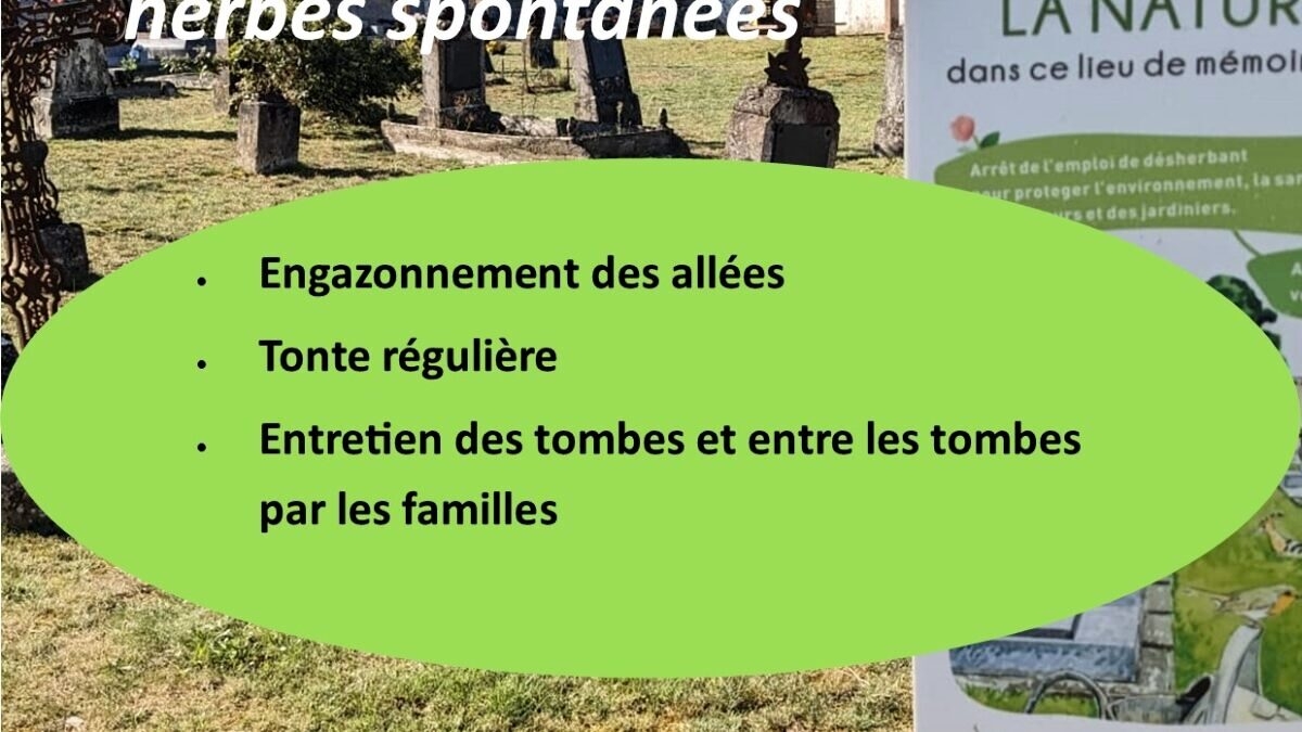 découvrez l'étonnant concept du 'village sans cimetière', un lieu où la vie et la communauté prennent le pas sur la mort. explorez une approche unique de la mémoire et de la célébration des vies, loin des conventions traditionnelles.